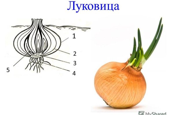 Кракен почему не заходит