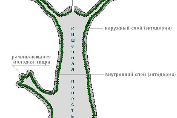 Кракен сайт даркнет