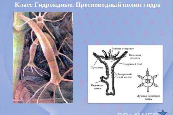 Можно ли восстановить аккаунт в кракен даркнет